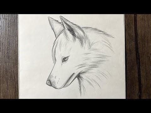 How to draw a wolf | easy anime drawing step by step