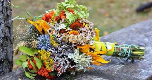 30 Flowers and Their Meanings With Pictures