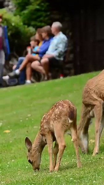 125 reactions · 11 shares | Embark on a journey to the iconic Rogue...