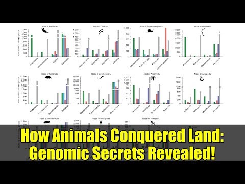 How Animals Conquered Land: Genomic Secrets Revealed!