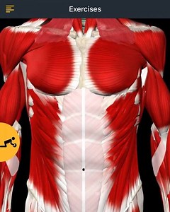 428K views · 936 reactions | The Scapular Pull-Up Exercise, log in to...