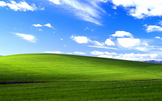 The History Behind Microsoft XP’s “Bliss” Background - Newegg Insider