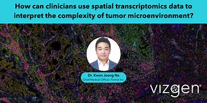 How can clinicians use spatial transcriptomics data to interpret the complexity of tumor microenvironment?