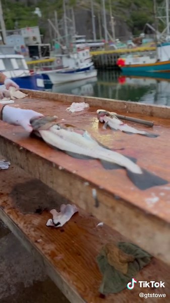 How to Fillet Cod Fish: A Step-by-Step Guide