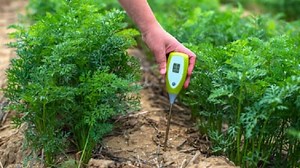 The 5 Best Soil pH Testers & Meters (2025 Reviews)
