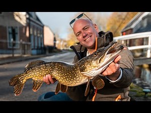 VISblad TV - op snoek met dood aas!