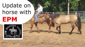 We started treatment of EMP 6 weeks ago. Here is an update on his progress. EPM is hard on the body but I am encouraged with this horse's progress | Tim Anderson Horse Training