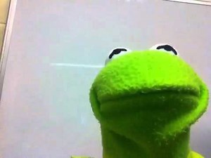 Kermit the Frog dreams the impossible dream