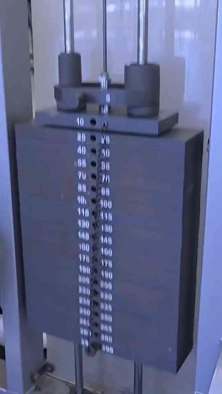 El Campeon MAXES Out The Lat Pulldown