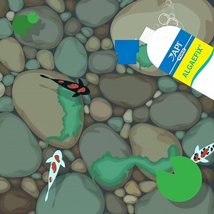 Controlling algae doesn’t have to be a struggle. A little bit of our Pond Algaefix goes a long way.​ 🐟🌊 | API Fishcare
