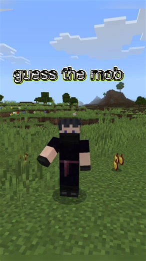 can you find this minecraft mob 🤯