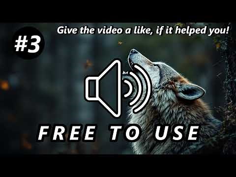 Wolf Howling Sound Effects | 4 Unique Howls in One Video