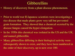 Gibberellins - SlideServe