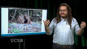 VIDEO: Modeling Mating: Human Mate Choice in Evolutionary and Computational Perspective