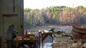 7.4K views · 253 reactions | Sand-included quartz, phantoms and golden healers - all recent arrivals in our washroom! * * * * * * * #crystals #quartz #crystalhealing #metaphysical #nature #arkansas | Avant Mining LLC | Facebook
