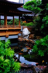 Bog Filters and Your Koi Pond as found on Next Day Koi