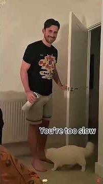 Cats hate it when their owners come home late 🤣👀🔥#funnyanimals #pets #catlovers #funnycats