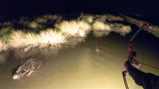 Bowfishing for redfish from an airboat