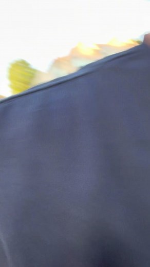 “The Bugs” recreation video 😂😂😂 | mighty duck vines