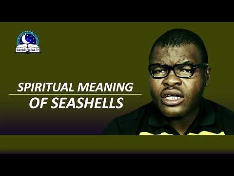 Spiritual Meaning of SEASHELLS - Symbolism and Message