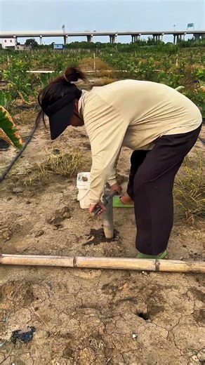 How to use a manual soil digging tool #hole digging tool #planting tool #farming tools