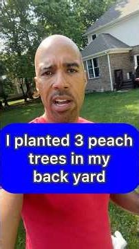 Turning my backyard into a fruit farm with 3 peach trees 🍑 #gardening