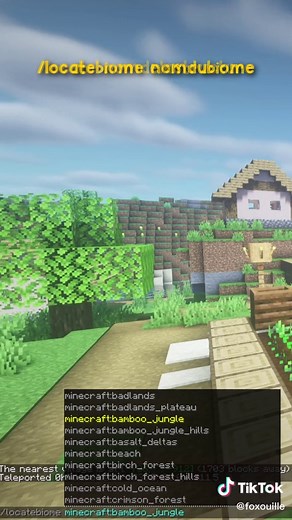 5 Commandes Utiles dans Minecraft