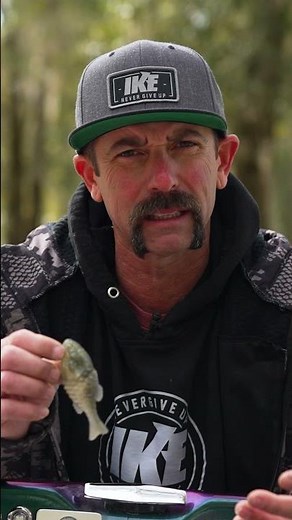 Check out the Full In-Depth Video of the Berkley Powerbait Gilly Swimbait with Mike Iaconelli