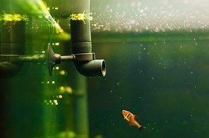 Best Eheim Filters Reviewed: Which Is Right For Your Tank?