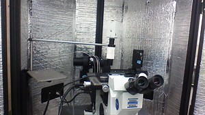 Atomic Force Microscopy