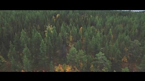 1.6K views · 92 reactions | We had a deep look into our treasure chest and found an old video that never got published, Perch Madness II. It's a couple of years old now, but hey, big perch are still big perch nevertheless. Tomorrow live on Youtube! | Freewater Pictures | Facebook