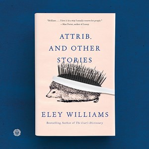 Lauded as "elegant" (The Guardian) and "exhilarating" (Vanity Fair), ATTRIB. AND OTHER STORIES by Eley Williams is hitting shelves on 5/18 for the first time in the U.S. — just in time for Short Story Month! 🦔💕 To pre-order your copy, visit: https://bit.ly/3xwmZYw | Vintage Books
