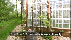 Amazon.com : H Potter Large Iron Garden Trellis for Climbing Plants Patio Screen Deck Privacy Fence : Panel Screens : Patio, Lawn & Garden