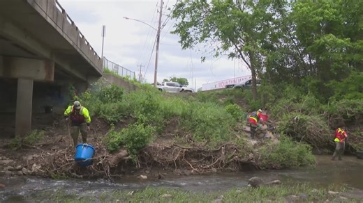 Litter capture systems to be installed at streams throughout our area