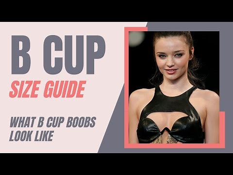 B Cup Size Ultimate Guide: What B Cup Breasts Look Like [2023]