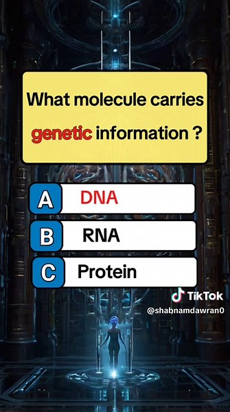 شبنم دوران on TikTok