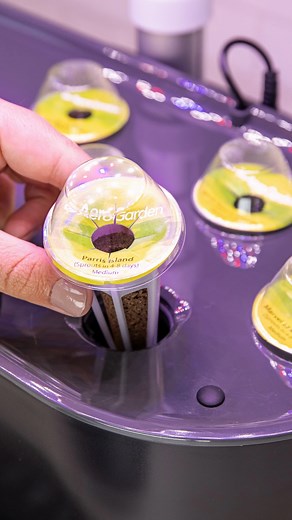 All it takes is three simple steps to begin planting your new seed pod kits! Ready to follow along? 1️⃣ Add cool tap water or distilled water to the ‘Fill to Here’ indicator within the bowl. 2️⃣ Using slight pressure, insert your seed pod kits. Place the Grow Domes over the Seed Pods until the plants nearly begin to touch the Domes once they sprout. 3️⃣ Feed your garden by adding nutrients directly into the water bowl. | AeroGarden