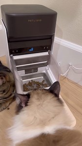 962K views · 3.5K reactions | Introducing the One RFID Pet Feeder...