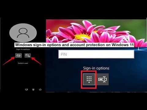 Windows sign-in options and account protection on Windows 11