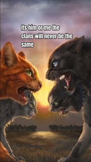 scourge vs firestar #warriorcats