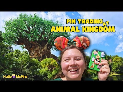 Animal Kingdom Disney Pin Trading - ALL the Pin Trading (November 2025)