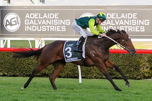 South Australian Derby 2027 Field, Tips, Betting Odds, Results