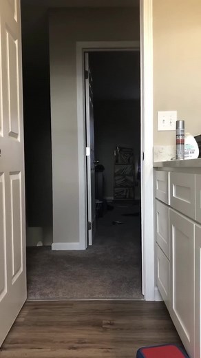 Scared Prank Compilation - Funny Scare Pranks and Jump Scares