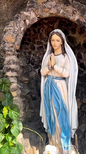 26K views · 3.4K reactions | For she is a reflection of eternal light, a spotless mirror of the working of God, and an image of his goodness. Though she is but one, she can do all things, and while remaining in herself, she renews all things; in every generation she passes into holy souls and makes them friends of God, and prophets (Wisdom 7:26-27 ) | My Mother Mary | Facebook