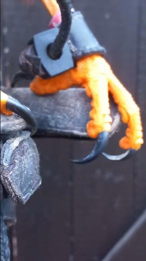 SHARP HARRIS HAWK TALONS CLOSE UP