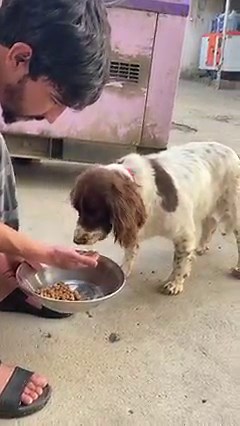 97K views · 15K reactions | Our staff are working hard around the...