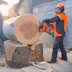 158K views · 1K reactions | STIHL MS 881 & HUSQVARNA 3120 XP | The Tree Surgeons | Facebook