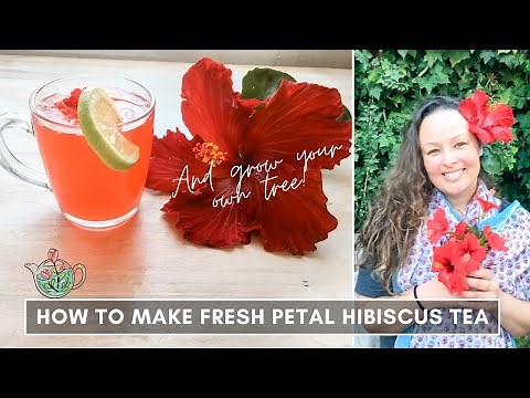 How to make HIBISCUS Tea with fresh FLOWERS. Herbal, Fruity & Healthy!