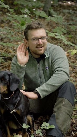 Forest walks are healthy! - Forestry explains