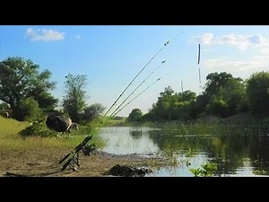 The fishing rod cracked WHEN HE TOOK IT!!!! Fishing for carp, crucian carp overnight